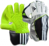 Wicket Keeping Gloves
